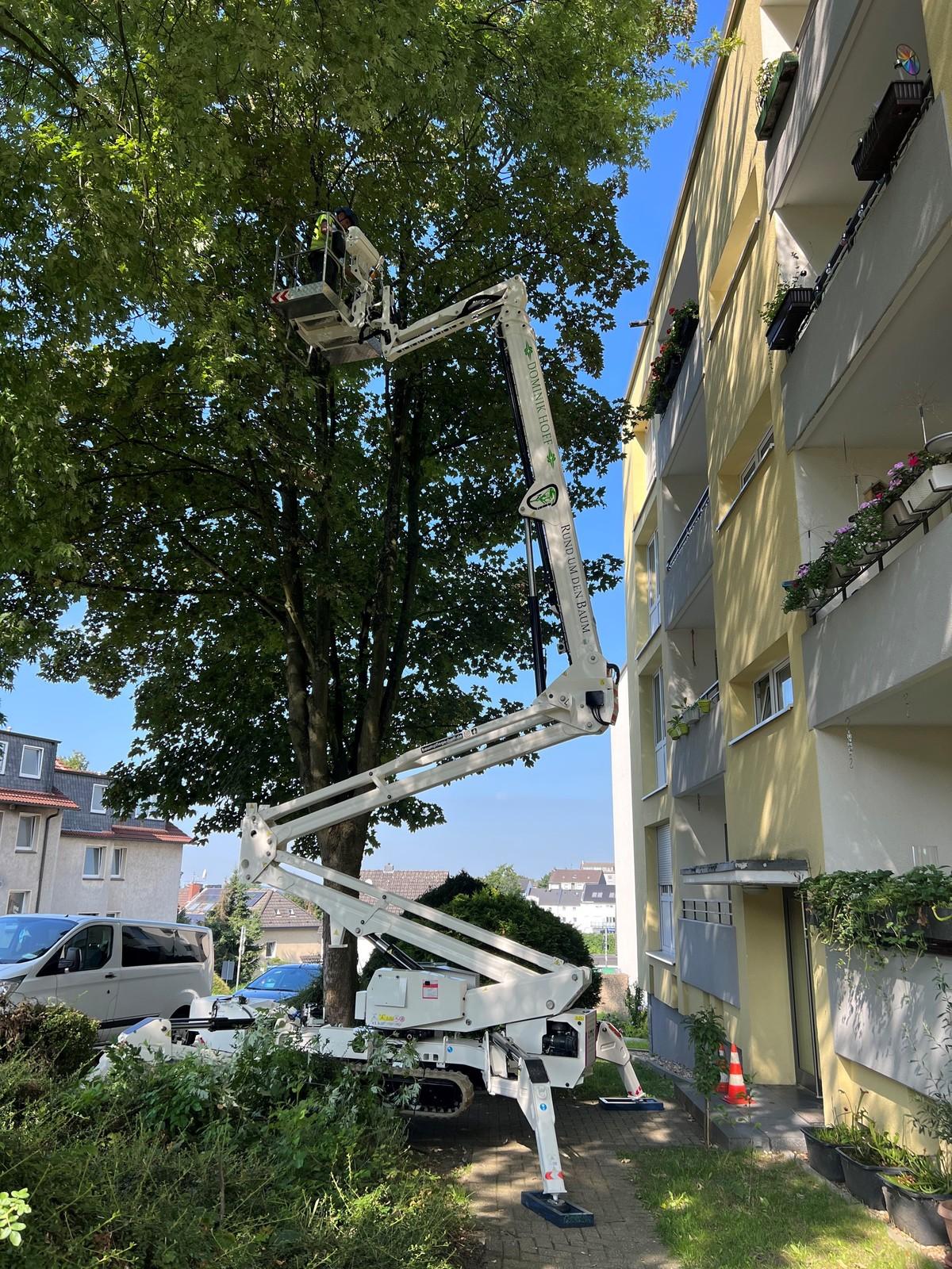 In allen Positionen der variablen Abstützung erreicht diese Maschine die Arbeitshöhe von 23 Meter und die seitliche Reichweite von 12,4 Meter. | Foto: Hoff In allen Positionen der variablen Abstützung erreicht diese Maschine die Arbeitshöhe von 23 Meter und die seitliche Reichweite von 12,4 Meter. | Foto: Hoff