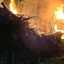 +++ Kettenbagger brennt lichterloh: Polizei vermutet Brandstiftung +++