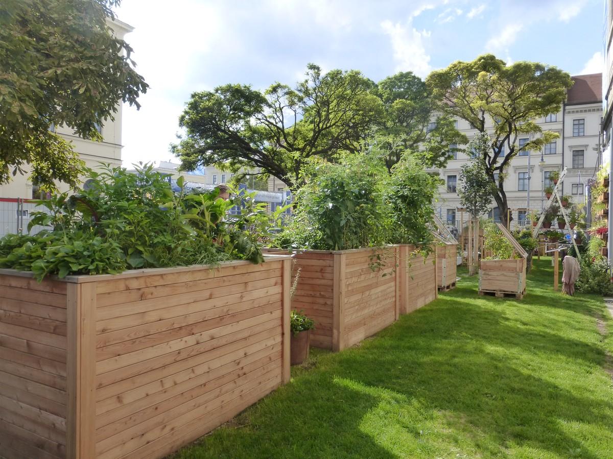 Urban Gardening – ein Garten als Beispiel. | Foto: LWG