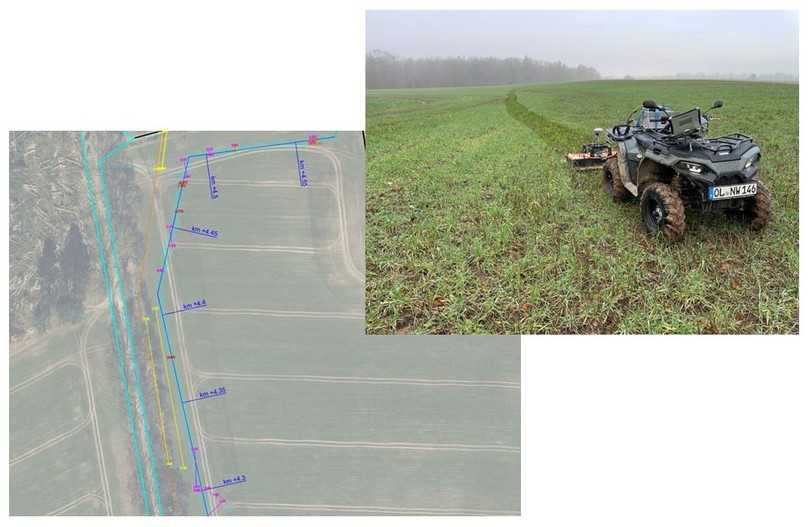 Untersuchung des Schutzstreifens einer geplanten Kabeltrasse | Foto: IGNW