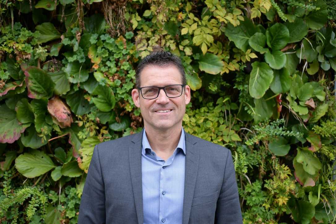 Gebäudegrün: BuGG-Mitglieder wieder optimistischer