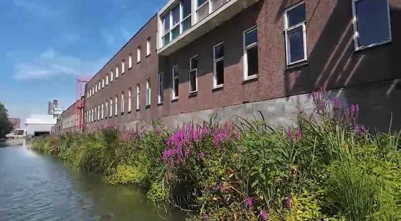 Flora Float in einem urbanen Gewässer in Rotterdam. | Foto: Roess Nature Group