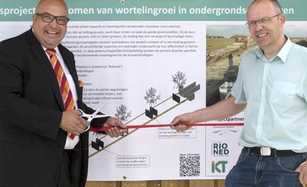 Bäume erhalten, Leitungen schützen